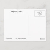 Saguaro Cactus Postkarte (Rückseite)