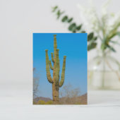 Saguaro Cactus Postkarte (Stehend Vorderseite)