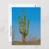 Saguaro Cactus Postkarte (Vorne/Hinten)