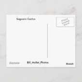 Saguaro Cactus Postkarte (Rückseite)