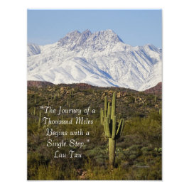 Saguaro Cactus Snow Capped Mountains Arizona USA Fotodruck