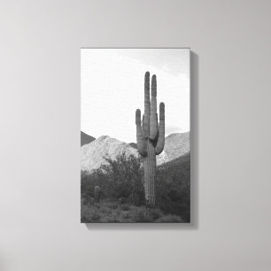 Saguaro Cactus Sonoran Desert B&W Foto Art Print Leinwanddruck