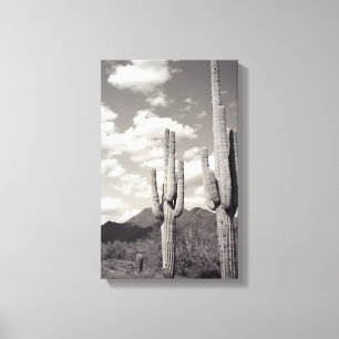 Saguaro Cactus Sonoran Desert B&W Foto Art Prints Leinwanddruck