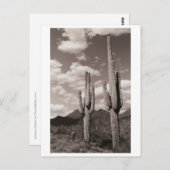 Saguaro Cactus Sonoran Desert B&W Foto Postkarten (Vorne/Hinten)