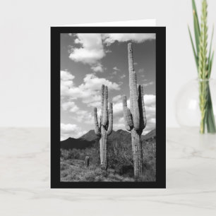 Saguaro Cactus Sonoran Desert Foto Grußkarten Karte