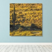 Saguaro Cactus Sonoran Desert in Springtime 24x24 Leinwanddruck (Insitu (Holzboden))