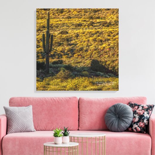 Saguaro Cactus Sonoran Desert in Springtime 24x24 Leinwanddruck (Insitu (Wohnzimmer))