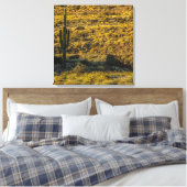 Saguaro Cactus Sonoran Desert in Springtime 24x24 Leinwanddruck (Insitu (Schlafzimmer))