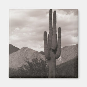 Saguaro Cactus Sonoran Desert Kühlschrank Magnete Magnet