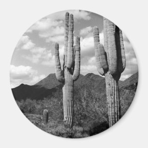Saguaro Cactus Sonoran Desert Kühlschrank Magnete Magnet