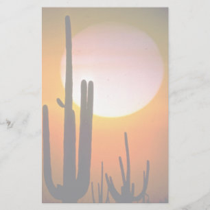 Saguaro cactus, Sonoran Desert, USA Wüste Briefpapier