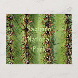 Saguaro Cactus Spines Nah-up, Saguaro Ntl. Park Postkarte