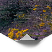 Saguaro Cactus Sunset Arizona Foto Poster (Ecke)