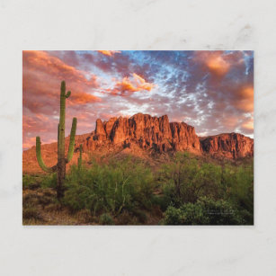 Saguaro Cactus Superstition Mountain Sunset Clouds Postkarte