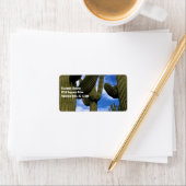 Saguaro Cactus Trio / Blue Sky & Clouds / Anschrif Adressaufkleber (Insitu)