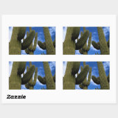 Saguaro Cactus Trio / Blue Sky & Clouds / Arizona Rechteckiger Aufkleber (Blatt)