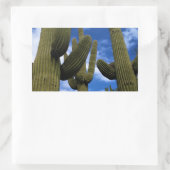 Saguaro Cactus Trio / Blue Sky & Clouds / Arizona Rechteckiger Aufkleber (Tasche)