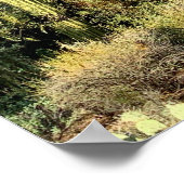 Saguaro Cactus Winter Arizona Foto Poster (Ecke)