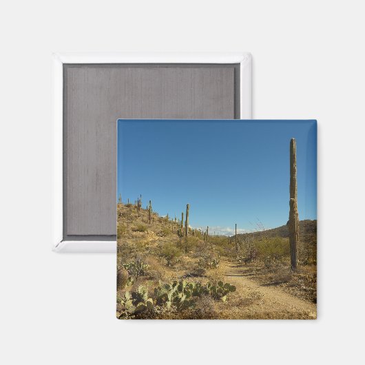 Saguaro-Carillo-Pfad im Saguaro-Nationalpark Magnet (Vorderseite/Rückseite)