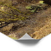 Saguaro-Carillo-Pfad im Saguaro-Nationalpark Poster (Ecke)