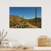 Saguaro-Carillo-Pfad im Saguaro-Nationalpark Poster (Küche)