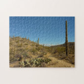 Saguaro-Carillo-Pfad im Saguaro-Nationalpark Puzzle (Horizontal)
