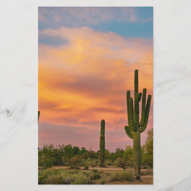 Saguaro Desert Life (Vorderseite)