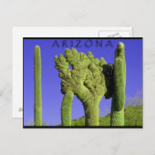 Saguaro im Kongress, Arizona Postkarte (Vorne/Hinten)