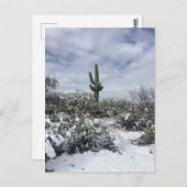 Saguaro im Schnee Postkarte (Vorne/Hinten)