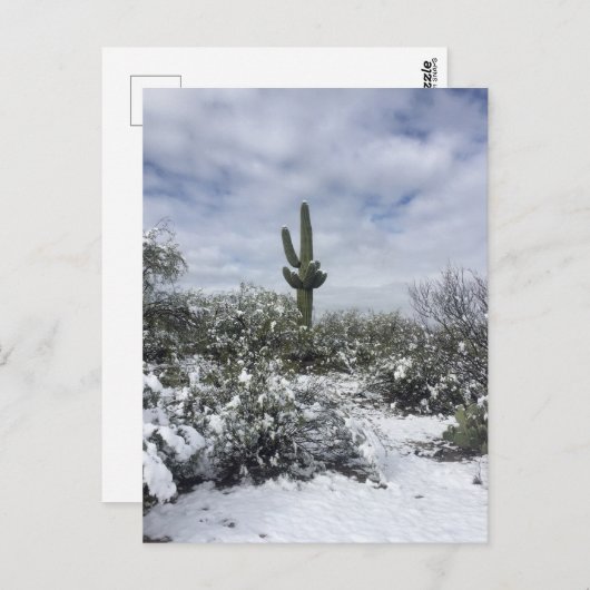 Saguaro im Schnee Postkarte (Vorne/Hinten)