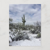 Saguaro im Schnee Postkarte (Vorderseite)