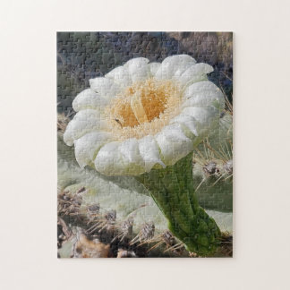 Saguaro in Bloom Puzzle, 11" x 14", 252 pieces Puzzle