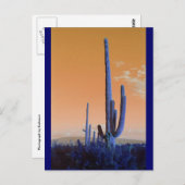 Saguaro in Blue Postkarte (Vorne/Hinten)