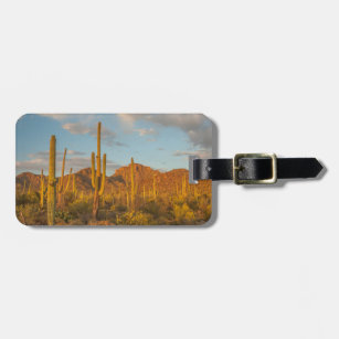 Saguaro-Kakteen bei Sonnenuntergang, Arizona Gepäckanhänger