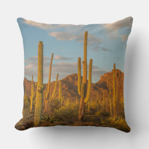 Saguaro-Kakteen bei Sonnenuntergang, Arizona Kissen