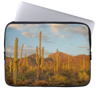 Saguaro-Kakteen bei Sonnenuntergang, Arizona Laptopschutzhülle