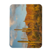 Saguaro-Kakteen bei Sonnenuntergang, Arizona Magnet (Vertikal)