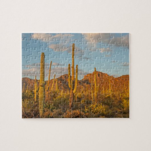 Saguaro-Kakteen bei Sonnenuntergang, Arizona Puzzle (Horizontal)