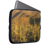 Saguaro-Kakteen im Nationalpark Saguaro Laptopschutzhülle (Vorne Rechts)