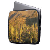 Saguaro-Kakteen im Nationalpark Saguaro Laptopschutzhülle (Vorderseite Links)