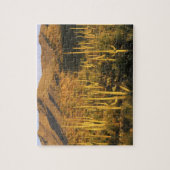 Saguaro-Kakteen im Nationalpark Saguaro Puzzle (Vertikal)