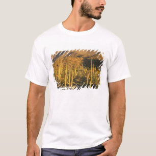 Saguaro-Kakteen im Nationalpark Saguaro T-Shirt