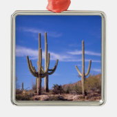 Saguaro-Kakteen, mehrere bewaffnete Riesen-Saguaro Silbernes Ornament (Vorne)