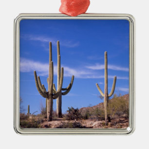 Saguaro-Kakteen, mehrere bewaffnete Riesen-Saguaro Silbernes Ornament