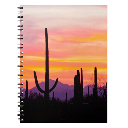 Saguaro-Kakteenwald bei Sonnenuntergang Notizblock (Vorderseite)