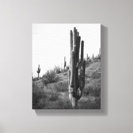 Saguaro-Kaktus 8x10 Leinwanddruck