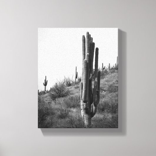Saguaro-Kaktus 8x10 Leinwanddruck (Vorderseite)