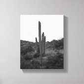 Saguaro-Kaktus 8x10 Leinwanddruck (Vorderseite)