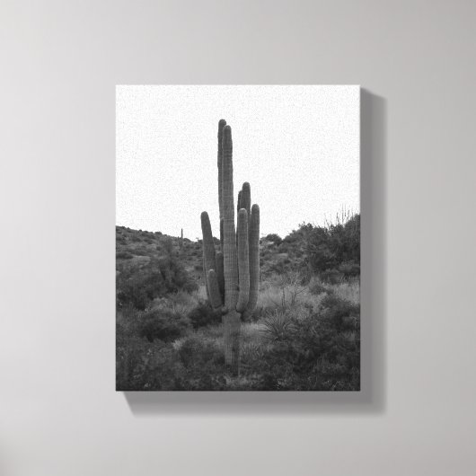 Saguaro-Kaktus 8x10 Leinwanddruck (Vorderseite)