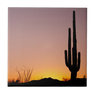 Saguaro-Kaktus am Sonnenuntergang Fliese